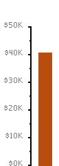 Fundraising Meter